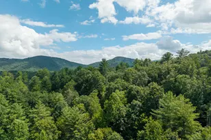 0 Higdon Creek Rd, Blue Ridge, GA 30513 - Photo 38