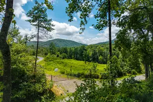0 Higdon Creek Rd, Blue Ridge, GA 30513 - Photo 2