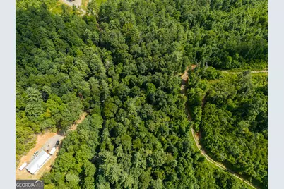 0 Higdon Creek Road, Blue Ridge, GA 30513 - Photo 46