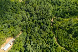 0 Higdon Creek Rd, Blue Ridge, GA 30513 - Photo 46