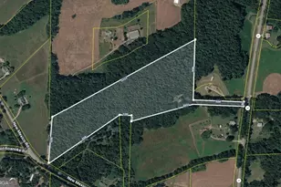 4104 W 5 Hwy, Bowdon, GA 30108 - Photo 4