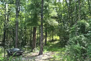 3266 Calhoun Falls Hwy, Elberton, GA 30635 - Photo 30