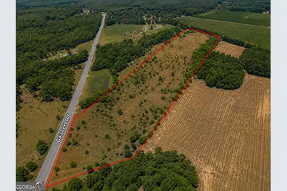 25.69 Acres Gaissert Road, Albany, GA 31705 - Photo 6