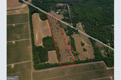 25.69 Acres Gaissert Road, Albany, GA 31705 - Photo 4