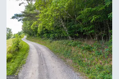 0 White Pine Road, McCaysville, GA 30555 - Photo 10