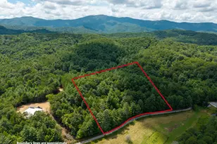 0 White Pine Rd, McCaysville, GA 30555 - Photo 1