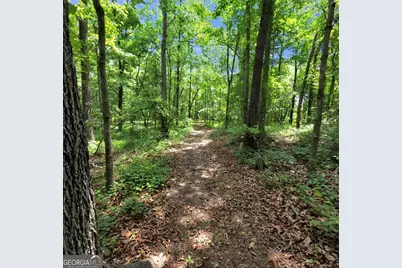 285 Wolf Den Road, Royston, GA 30662 - Photo 60