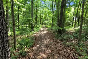 285 Wolf Den Rd, Royston, GA 30662 - Photo 60