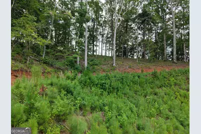 297 Pebble Trace, Talking Rock, GA 30175 - Photo 22