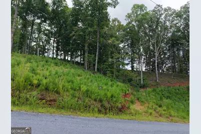 297 Pebble Trace, Talking Rock, GA 30175 - Photo 30