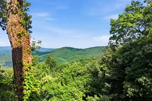82 Appalachian Point, Sky Valley, GA 30537 - Photo 38
