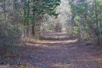557 Limestone Road, Cochran, GA 31014 - Photo 18