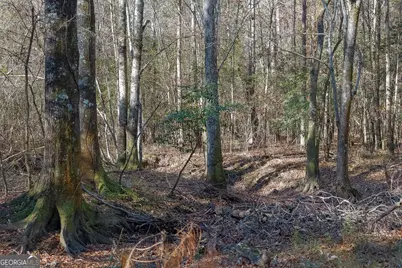 557 Limestone Road, Cochran, GA 31014 - Photo 16