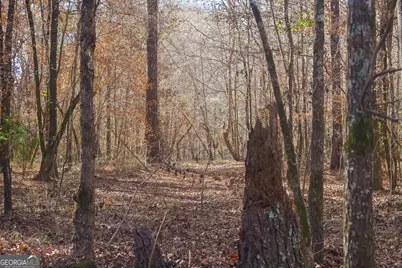 557 Limestone Road, Cochran, GA 31014 - Photo 20