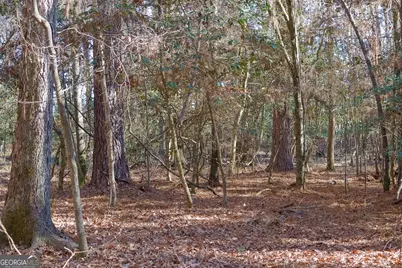 557 Limestone Road, Cochran, GA 31014 - Photo 6