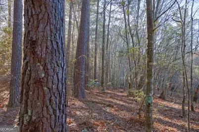 557 Limestone Road, Cochran, GA 31014 - Photo 2