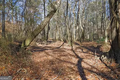 557 Limestone Road, Cochran, GA 31014 - Photo 14