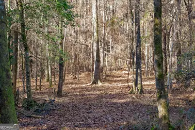 557 Limestone Road, Cochran, GA 31014 - Photo 10