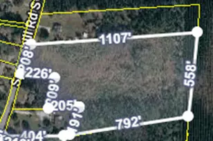 0 Springhill Rd, Kingsland, GA 31548 - Photo 1