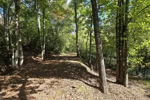 2575 Hwy 66, Young Harris, GA 30582 - Photo 30