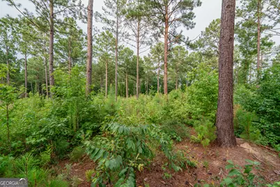 143 Falls Lane #84, Milledgeville, GA 31061 - Photo 22