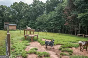 2014 Athens Rd, Royston, GA 30662 - Photo 30