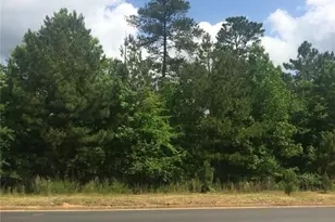 109 Ivy Rd, Canton, GA 30115 - Photo 1