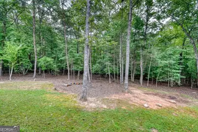 134 Camp Creek View #TRACT 3, Blairsville, GA 30512 - Photo 40