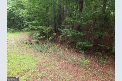 0 Potash Road #19A019, Cedartown, GA 30125 - Photo 12
