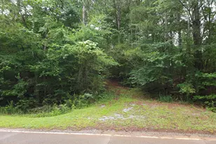 0 Potash Rd, Cedartown, GA 30125 - Photo 1
