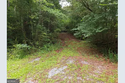0 Potash Road #19A019, Cedartown, GA 30125 - Photo 2