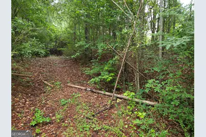 0 Potash Road #19A019, Cedartown, GA 30125 - Photo 4
