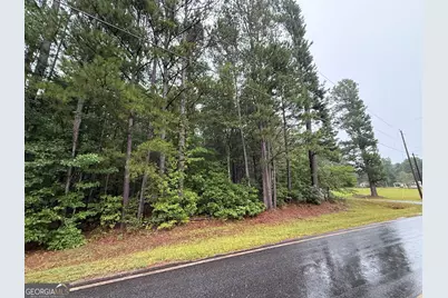 0 Lee Thompson Road, Moreland, GA 30259 - Photo 1