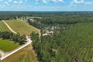 3733 Oak Hill Rd, Blackshear, GA 31516 - Photo 8