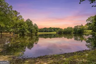 607 Grant Rd, Brooks, GA 30205 - Photo 54