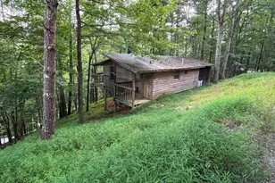 1163 Tipton Springs Rd, Morganton, GA 30560 - Photo 2