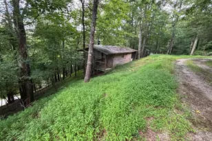 1163 Tipton Springs Rd, Morganton, GA 30560 - Photo 12