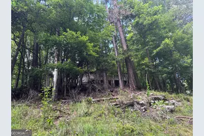 1163 Tipton Springs Road, Morganton, GA 30560 - Photo 14