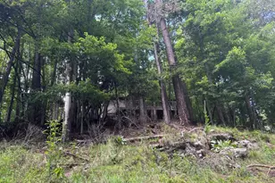 1163 Tipton Springs Rd, Morganton, GA 30560 - Photo 14
