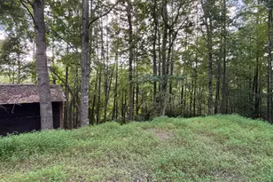 1163 Tipton Springs Rd, Morganton, GA 30560 - Photo 4