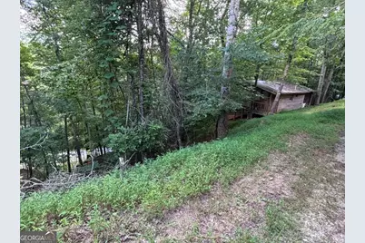1163 Tipton Springs Road, Morganton, GA 30560 - Photo 1