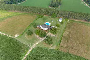 3800 Adabelle Rd, Register, GA 30452 - Photo 54
