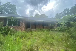 15923 Hwy 36, Covington, GA 30014 - Photo 2