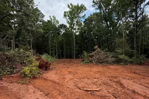 0 Oak Ct, Williamson, GA 30292 - Photo 4