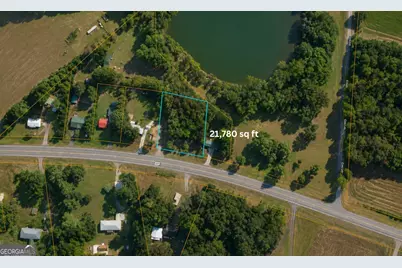 1001 Highway 221, Bartow, GA 30413 - Photo 8