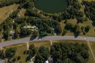 1001 Hwy 221, Bartow, GA 30413 - Photo 1