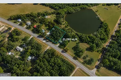 1001 Highway 221, Bartow, GA 30413 - Photo 4