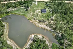 660 Old Manassas Foy Rd, Register, GA 30452 - Photo 38