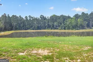 660 Old Manassas Foy Rd, Register, GA 30452 - Photo 30