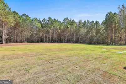779 Alex Stephens Road #LOT 4, Moreland, GA 30259 - Photo 52